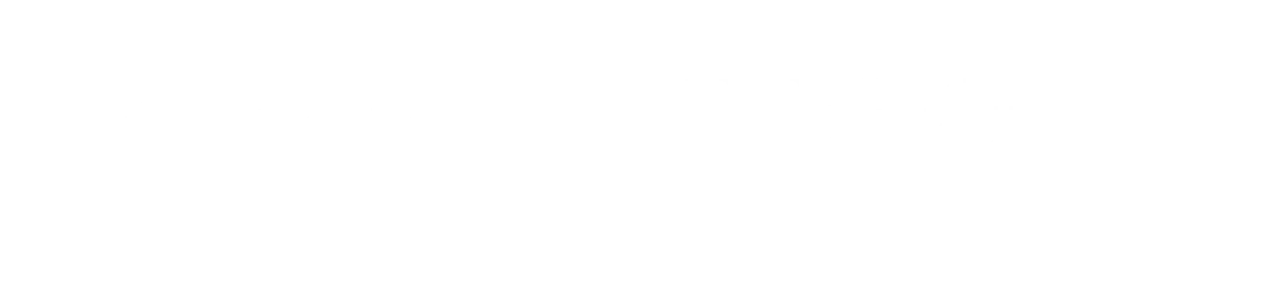 IDE Business